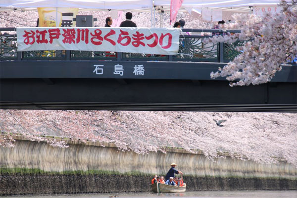 サクラ 大横川護岸(黒船橋周辺)