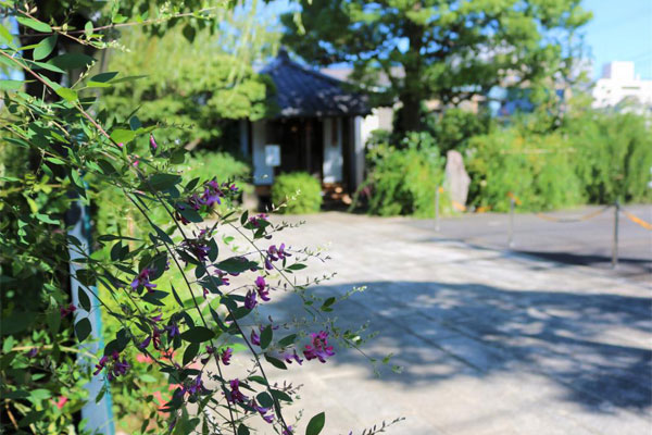 萩 龍眼寺