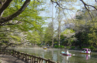 都立公園・庭園