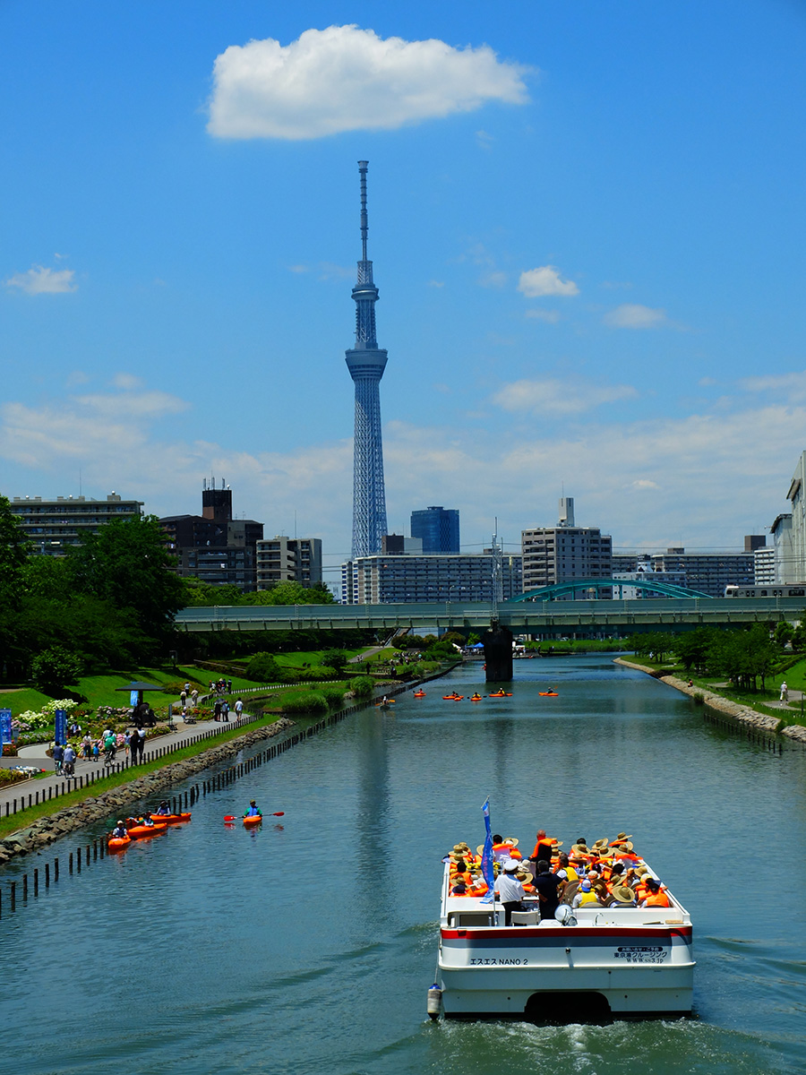 水辺の賑い