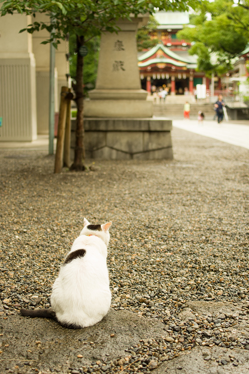 ありがとうが集まる場所