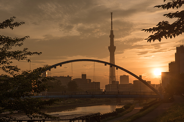 夕陽