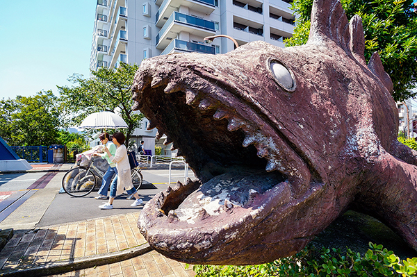 古代魚が住む街