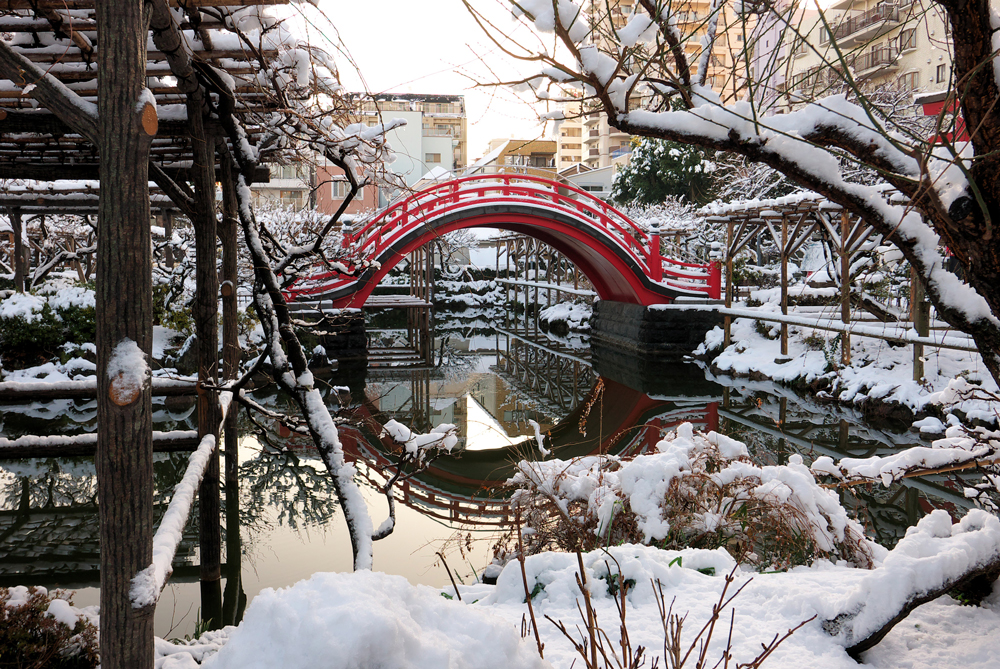 初・雪化粧