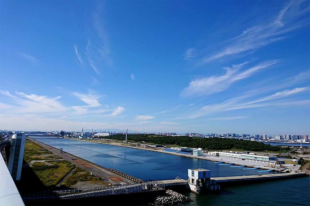 念願の海