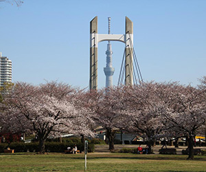 木場・森下・住吉エリア