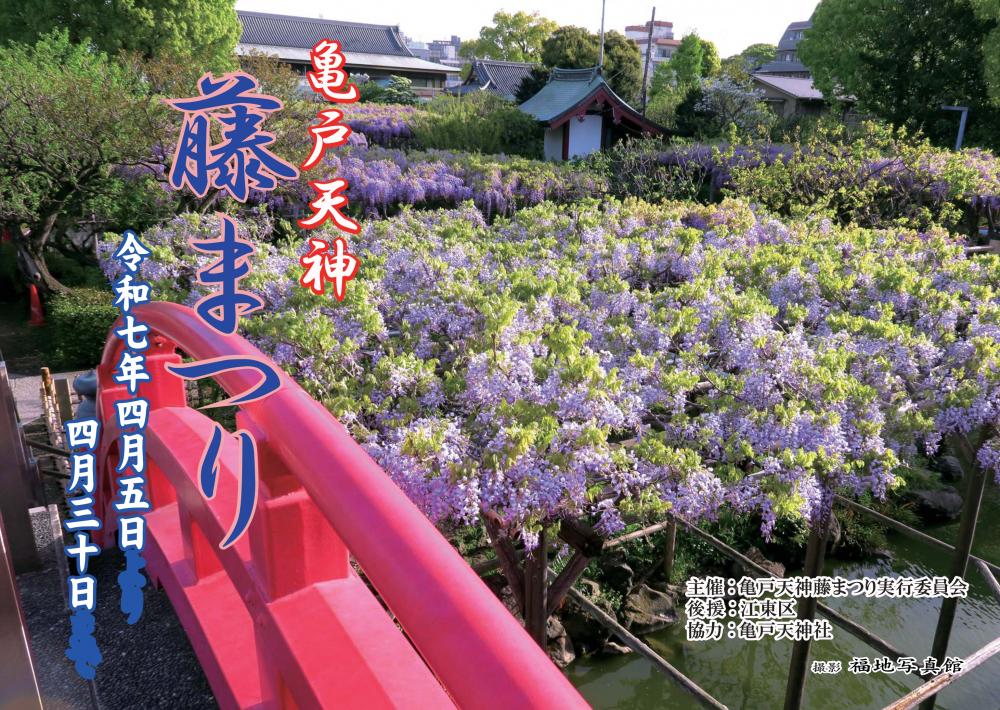 亀戸天神藤まつり