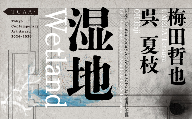 Tokyo Contemporary Art Award 2024–2026 受賞記念展「湿地」【東京都現代美術館】