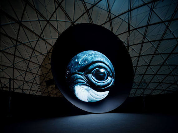 特別上映「BLUE OCEAN DOME」【日本科学未来館】