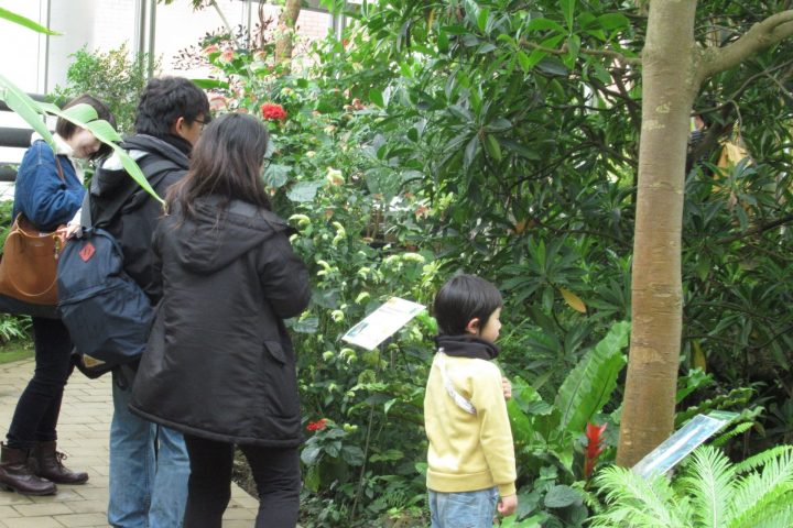 夢の島熱帯植物館3月開催イベント