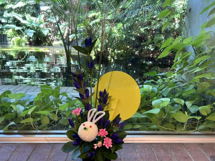 【終了】夢の島熱帯植物館　10月開催イベント