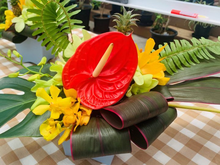 夢の島熱帯植物館　6月開催イベント
