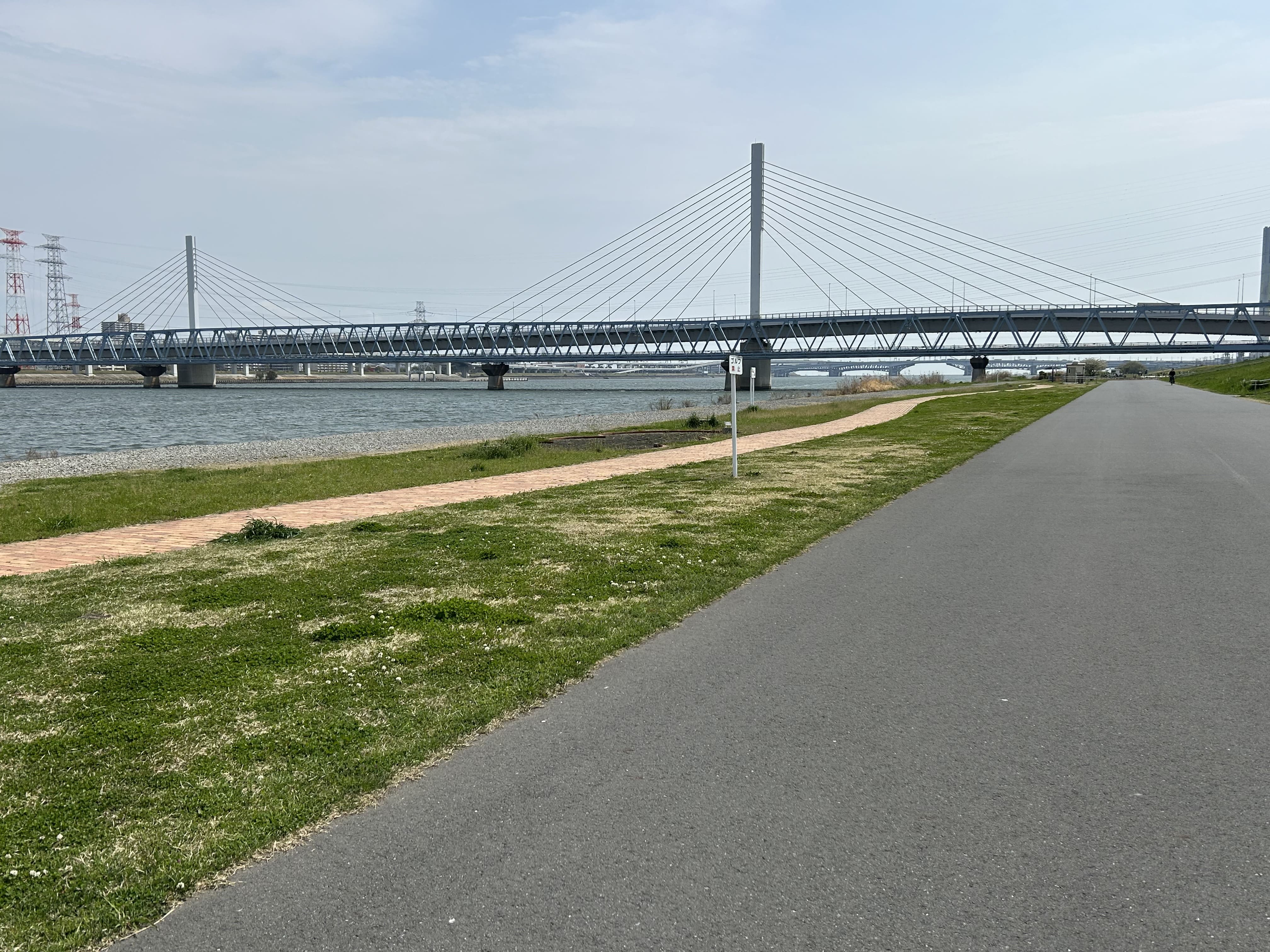 荒川砂町水辺公園 画像4