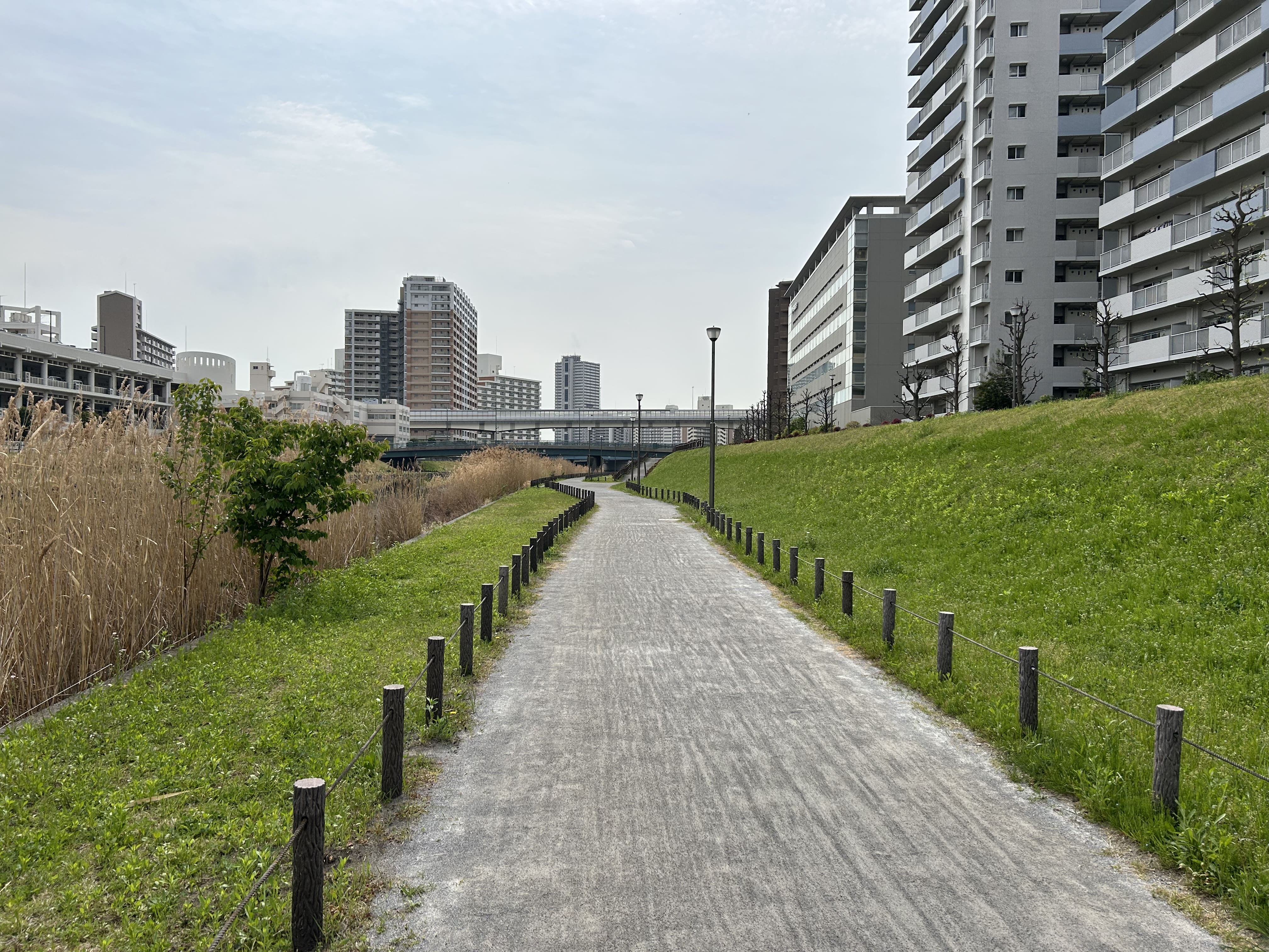 旧中川水辺公園