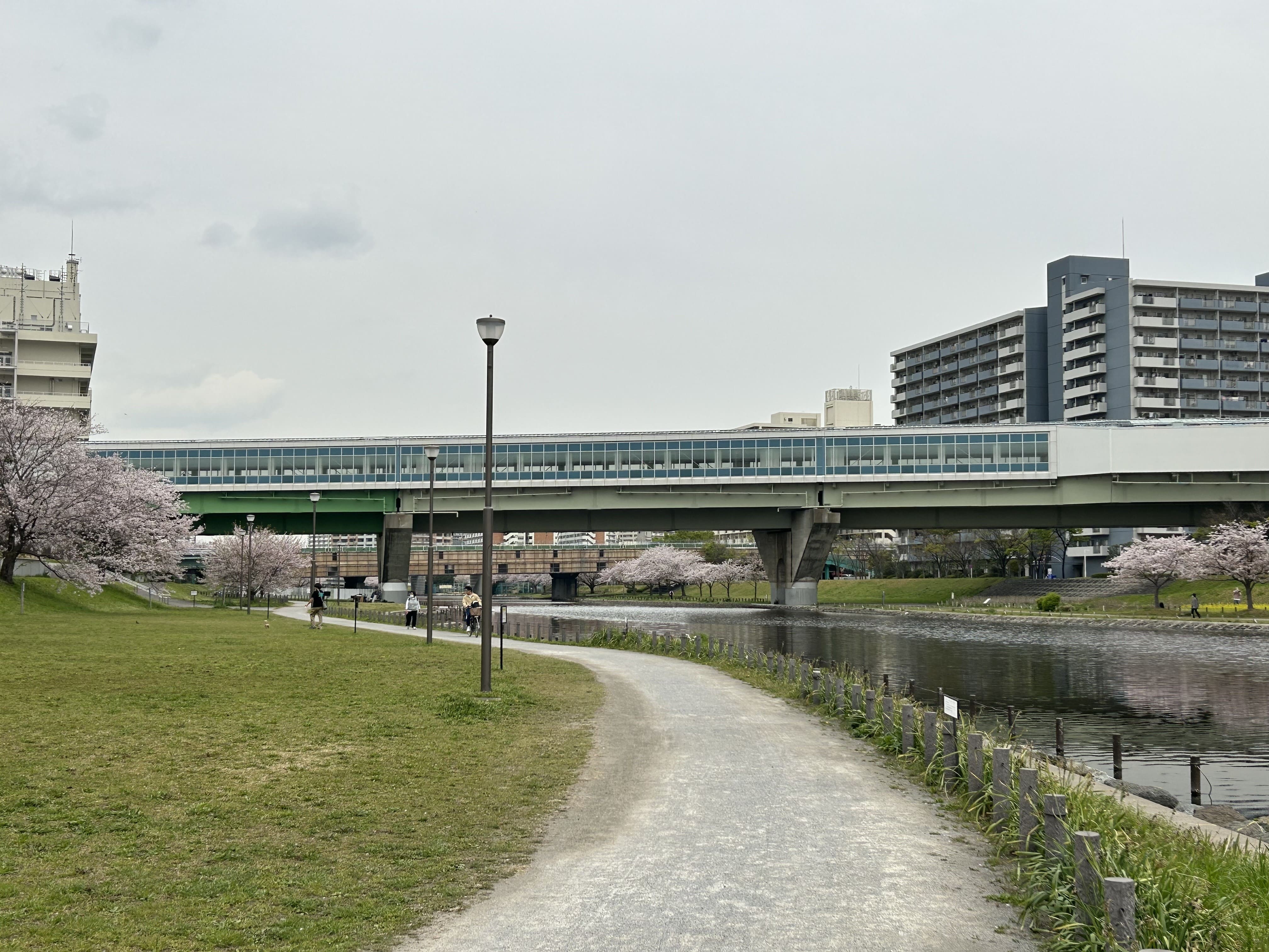 旧中川水辺公園 画像2