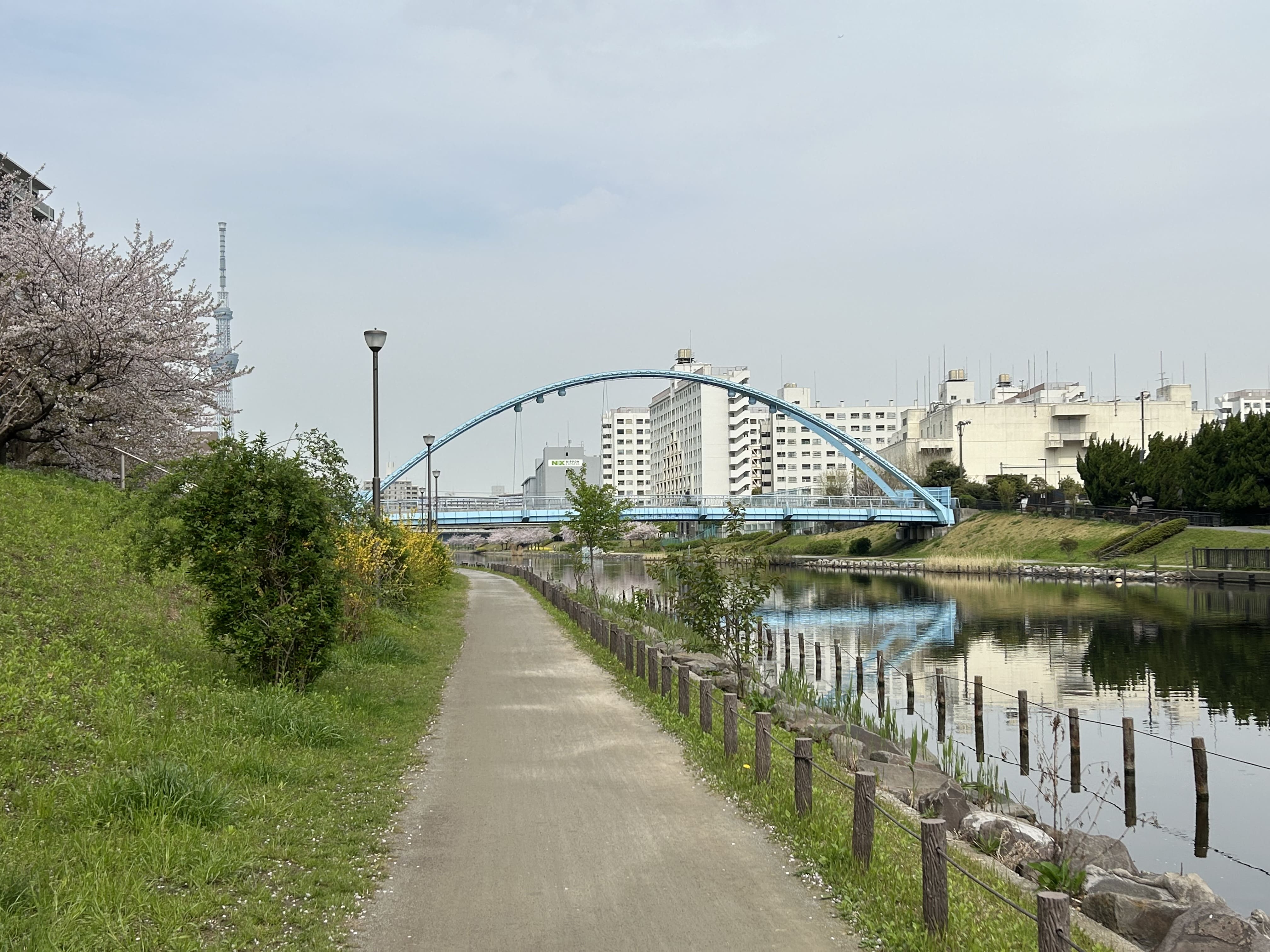 旧中川水辺公園 画像4