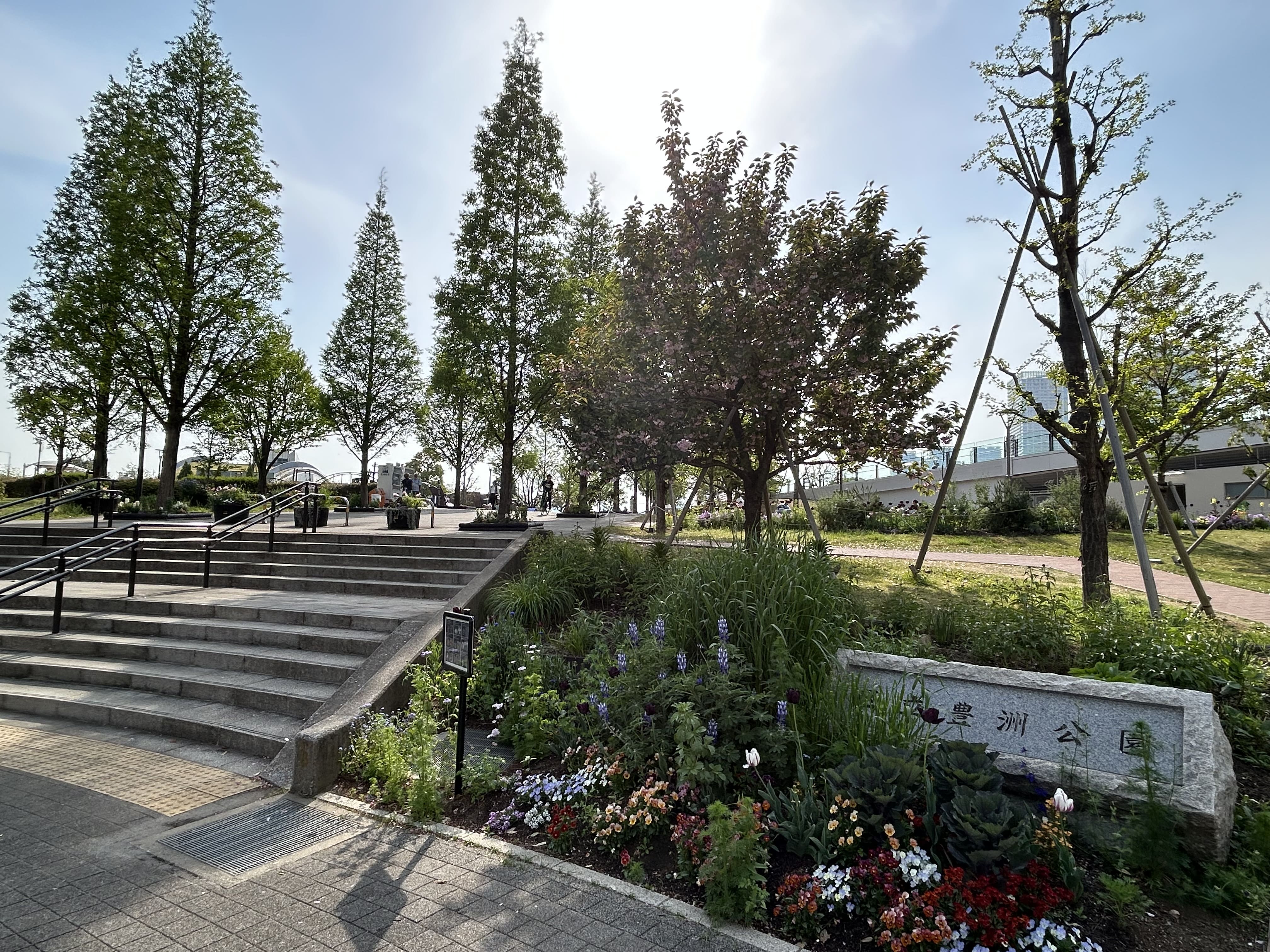 豊洲公園 画像2