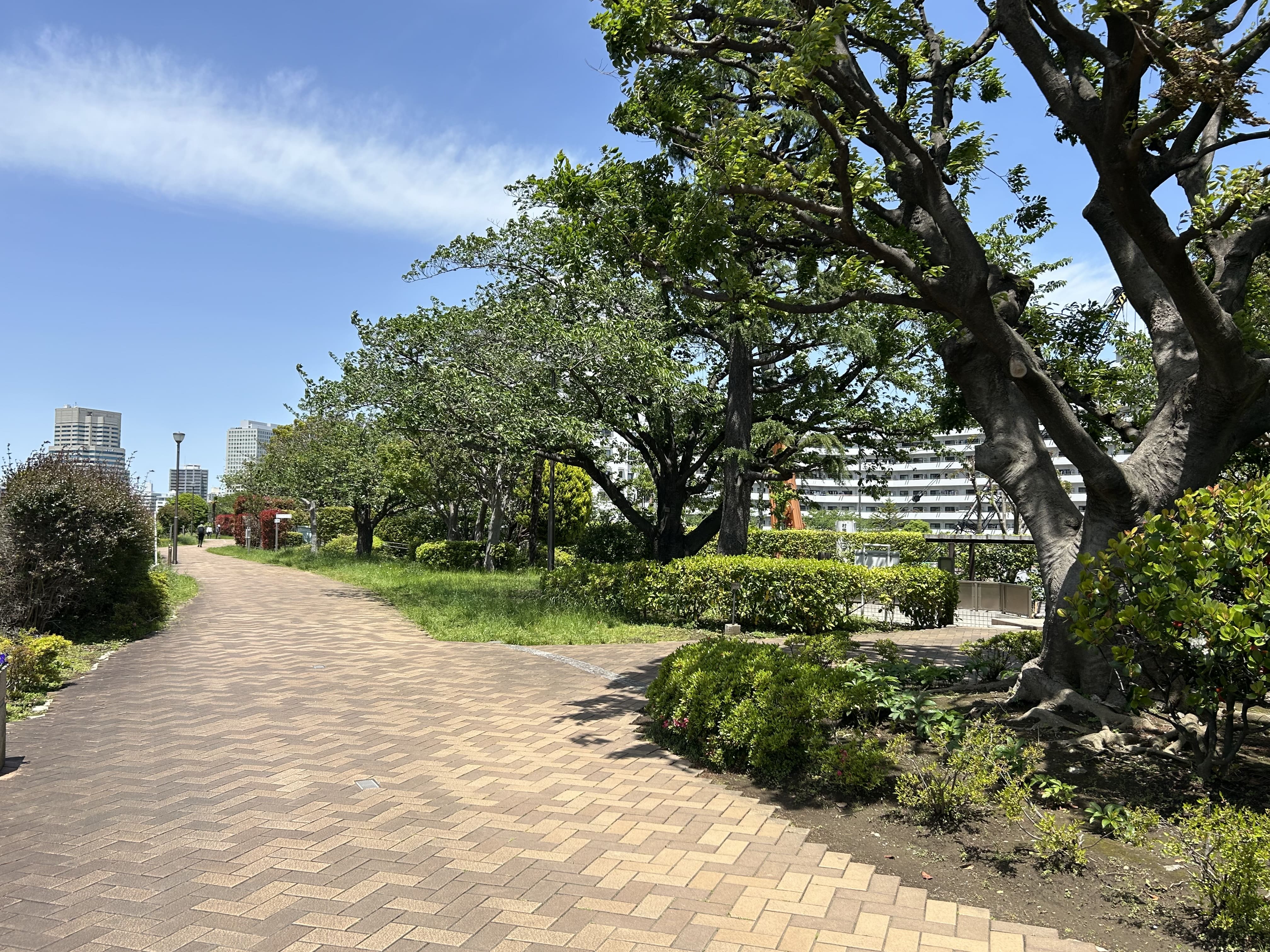 越中島公園 画像4