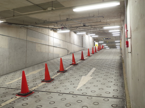 タイムズ日本科学未来館（地下2F） 画像2