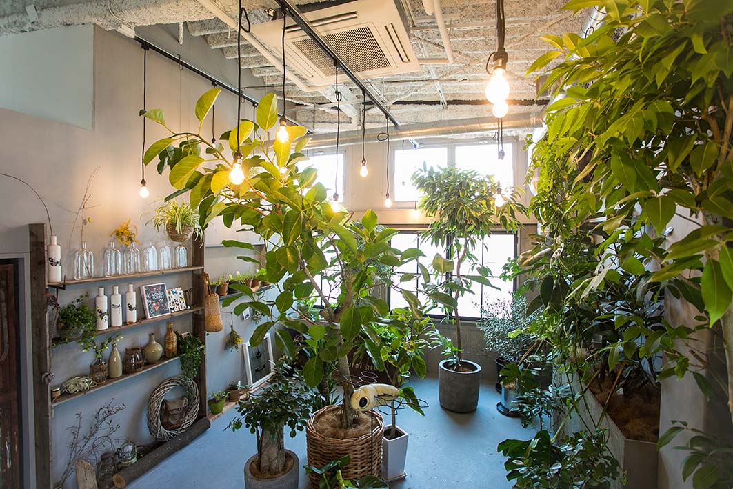 GREEN EARTH STUDIO 画像2