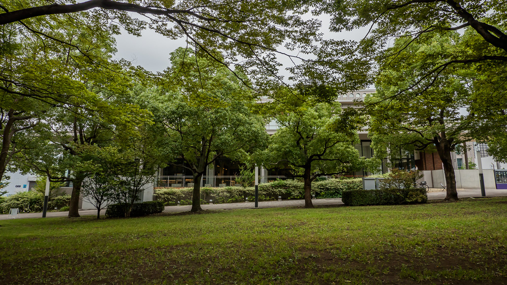 ロハスカフェ有明