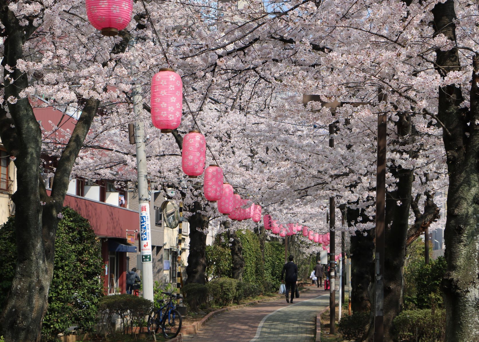 亀戸六丁目東町会