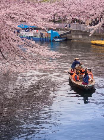 大横川