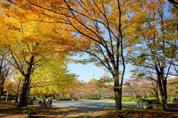 猿江恩賜公園