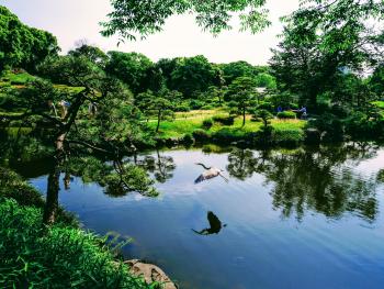 清澄庭園