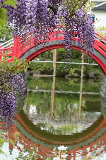 亀戸天神社