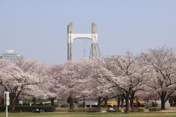 木場公園