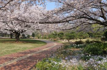 亀戸中央公園