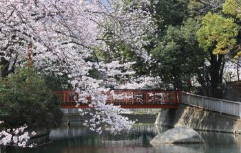 仙台堀川公園