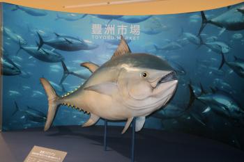 豊洲市場 まぐろのオブジェ