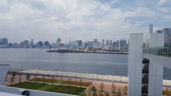 豊洲市場 屋上緑化広場からの景色