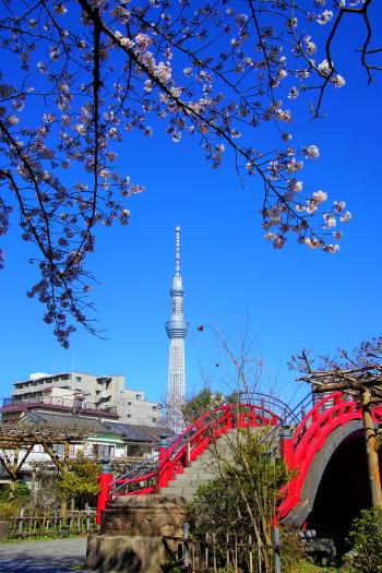 亀戸天神社