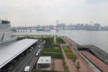 豊洲市場屋上緑化広場