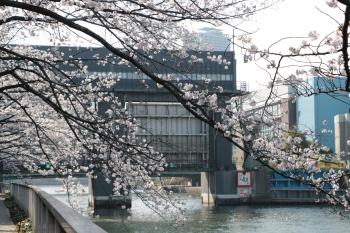 小名木川(新小名木川)水門