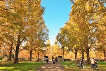 亀戸中央公園