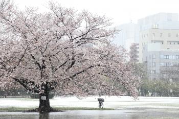 木場公園