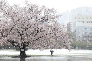 木場公園