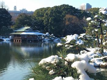 清澄庭園　雪景色