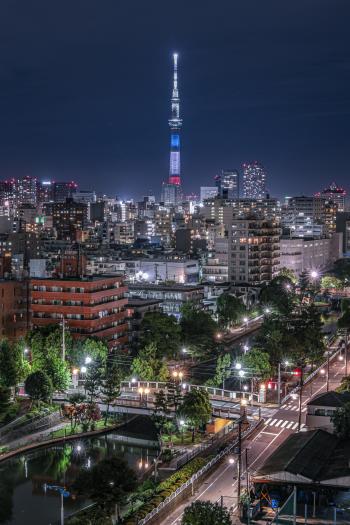 横十間川親水公園