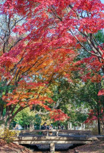 清澄公園