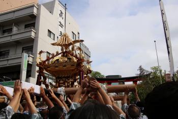 深川八幡まつり(富岡八幡宮例祭)/令和8年8月16日連合渡御