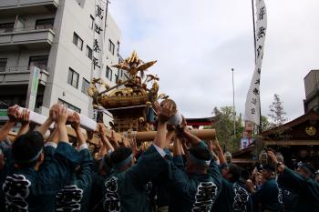 深川八幡まつり(富岡八幡宮例祭)/令和8年8月16日連合渡御