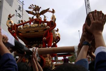 深川八幡まつり(富岡八幡宮例祭)/令和8年8月16日連合渡御