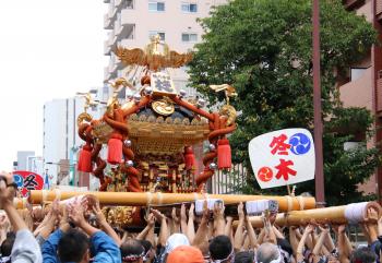 深川八幡まつり(富岡八幡宮例祭)/令和8年8月16日連合渡御
