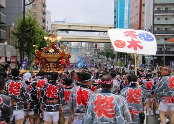 深川八幡まつり(富岡八幡宮例祭)/令和8年8月16日連合渡御