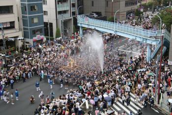 深川八幡まつり(富岡八幡宮例祭)/令和8年8月16日連合渡御
